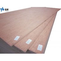 standard sizes  high quality bintangor plywood for sale