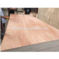 1220x2440mm 12mm industrial commercial  cheap price plywood poplar core