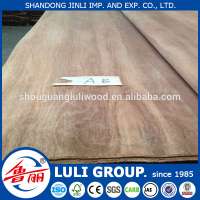 gurjan veneer, wood veneer sheet to India market from LULI GROUP SINCE1985